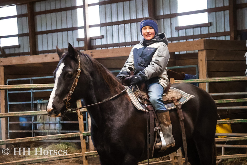 GENTLE AND PRETTY BLACK QUARTER HORSE MARE, TRAIL RIDES, EASY TO GET ALONG WITH