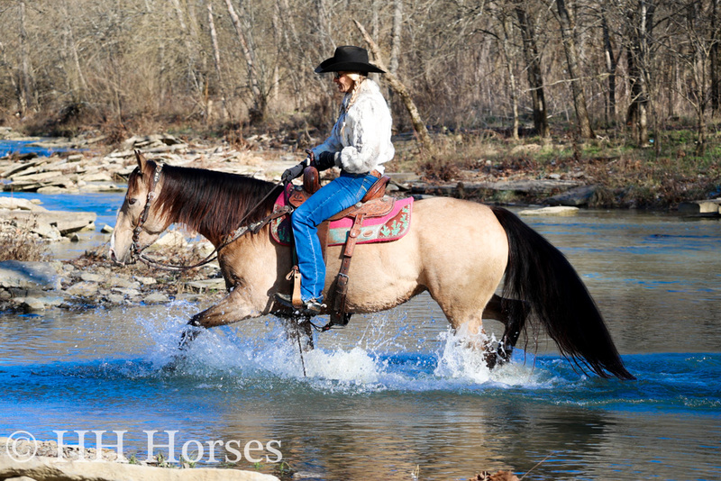 SEASONED RANCH, BREAKAWAY, TEAM ROPING, TRAIL RIDING AQHA REGISTERED BUCKSKIN MARE, GENTLE 