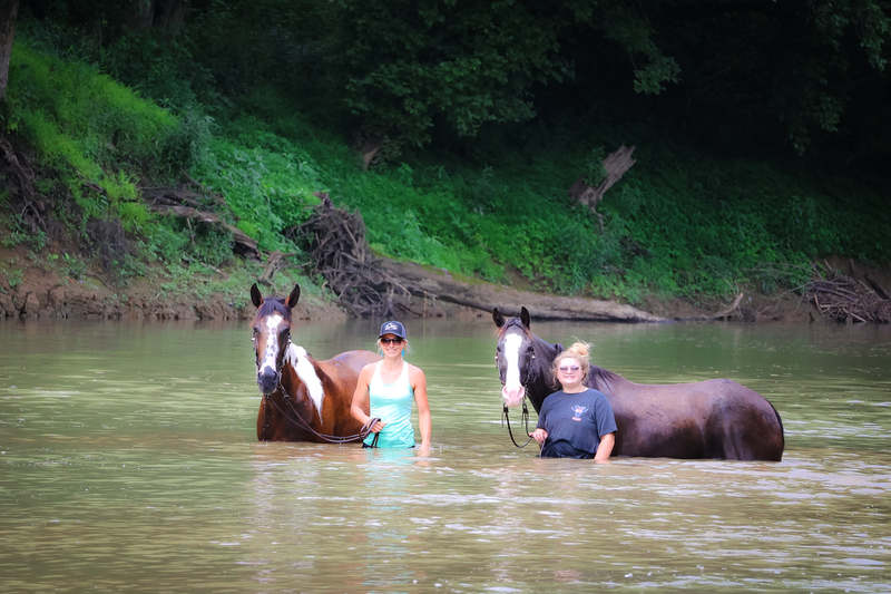 FLASHY BAY AND WHITE SPOTTED SADDLE GELDING, TRAIL RIDES, SMOOTH