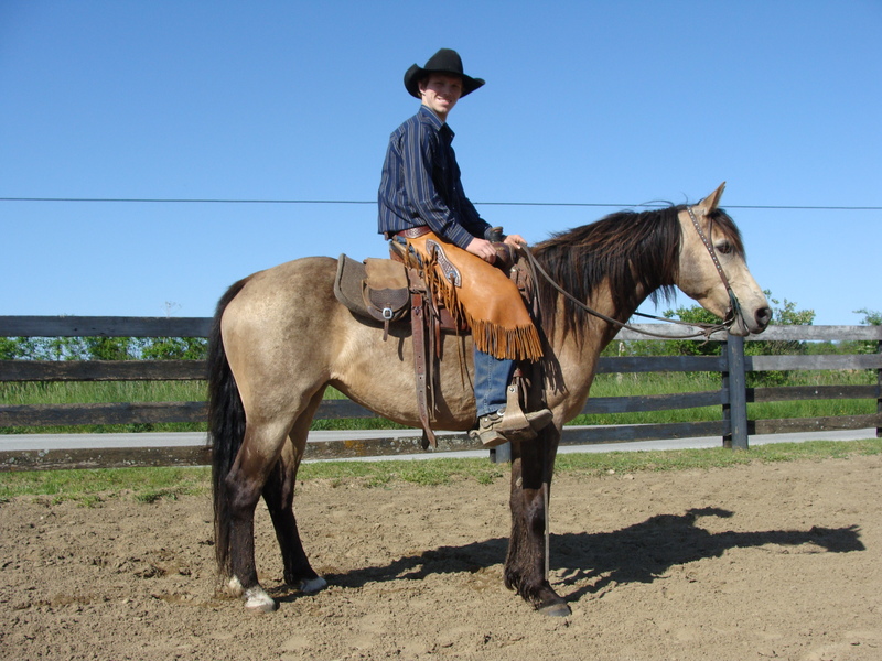 Horse for sale in Hillsboro