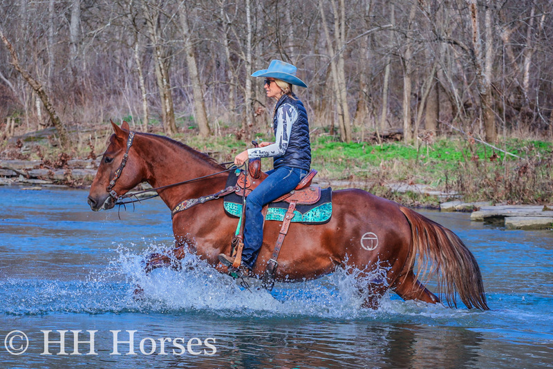 SUPER GENTLE PROFESSIONALLY TRAINED AQHA CHESTNUT GELDING, RANCH WORK, TRAIL RIDE 