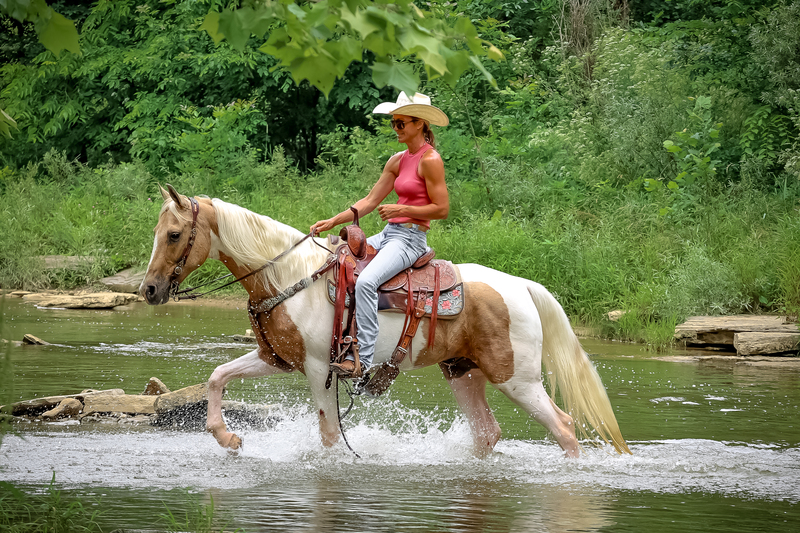 FLASHY AND REALLY FUN PALOMINO AND WHITE TOBIANO PAINT GELDING, NECK REINS, RANCH WORK, TRAIL RIDE 
